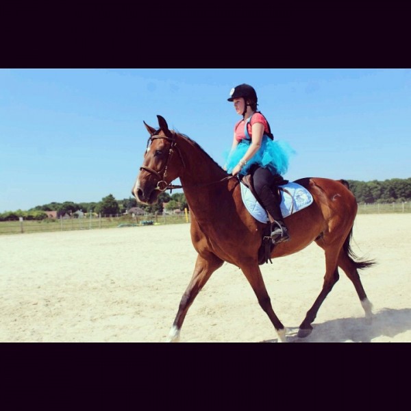 Photo de profil de plumeline_a