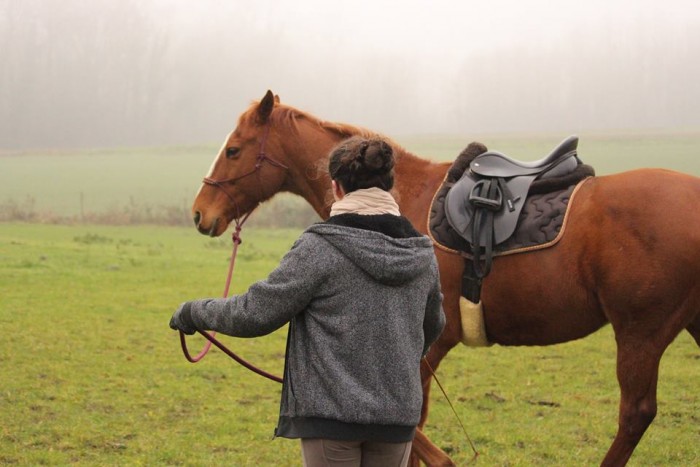 Photo de profil de ponyred
