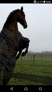 Photo de profil de province71