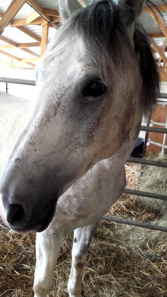 Photo de profil de prune11