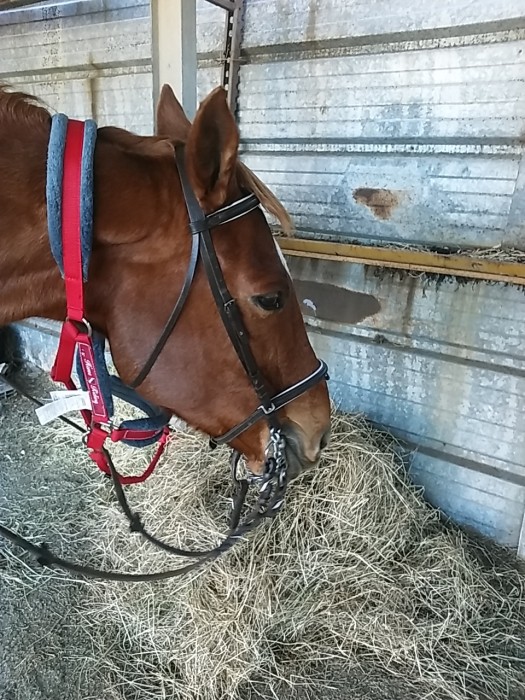 Photo de profil de ptitboucan7483