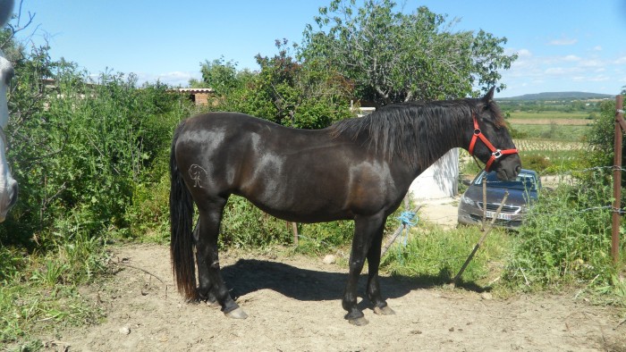 Photo de profil de ptiteflo