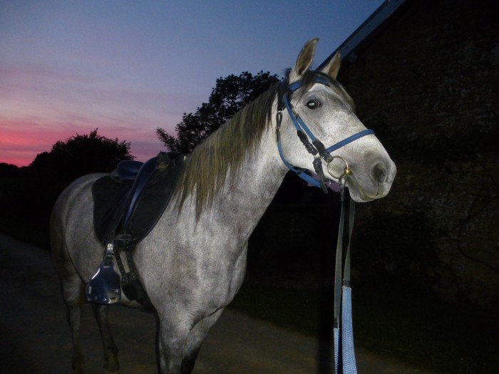 Photo de profil de qassa39