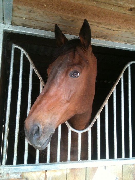 Photo de profil de quarnero41600