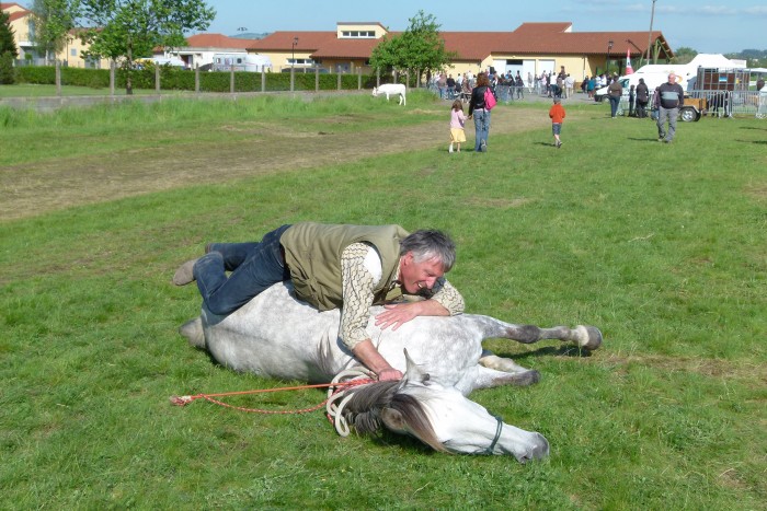 Photo de profil de quavalia