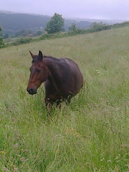 Photo de profil de quelopsdefeline