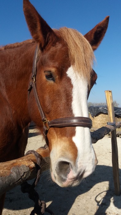 Photo de profil de quilchounette