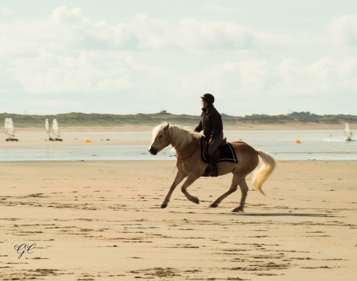 Photo de profil de quinto64