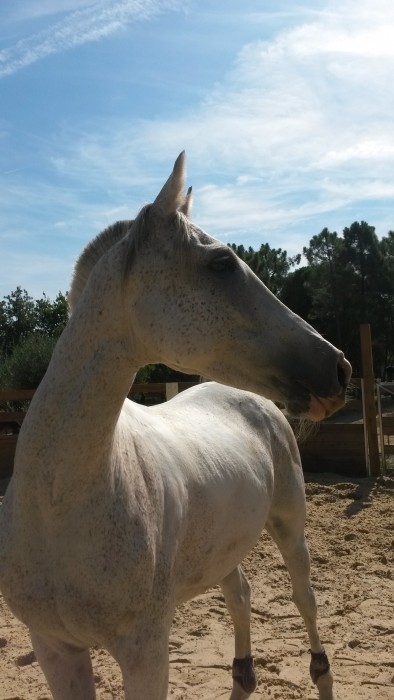 Photo de profil de rajanava