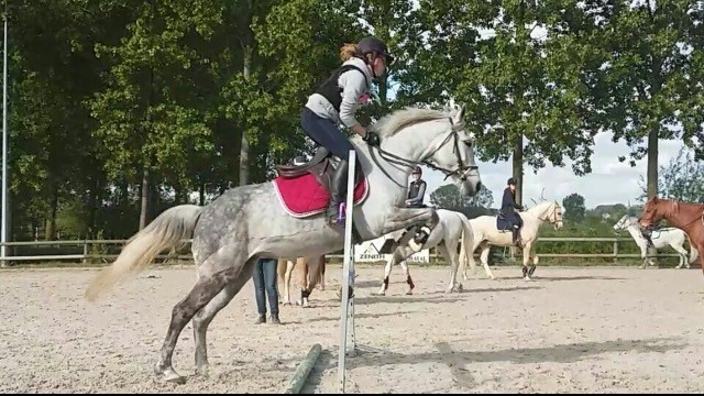 Photo de profil de raphaele.flandr