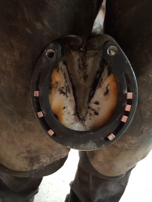 Photo de profil de rd.marechal27