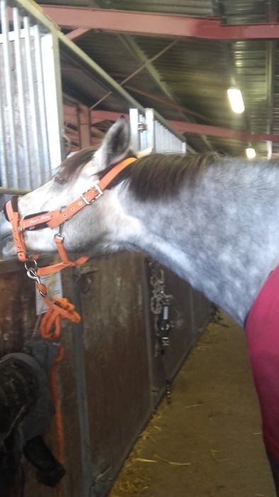 Photo de profil de rebelotte63