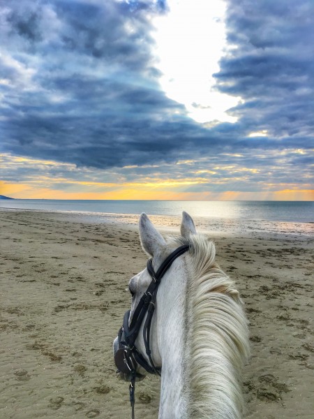 Photo de profil de remichouchou