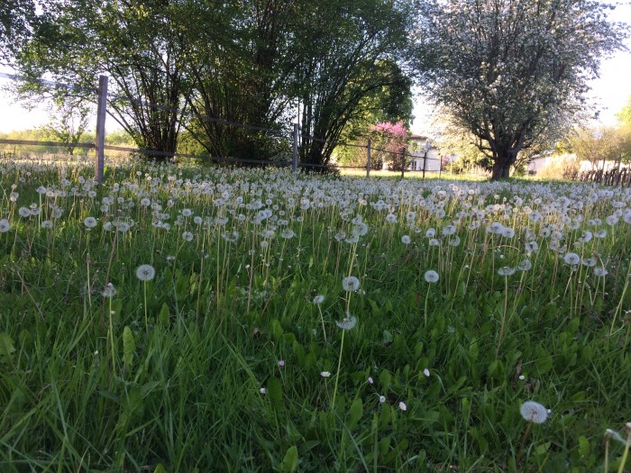 Photo de profil de rolinhb