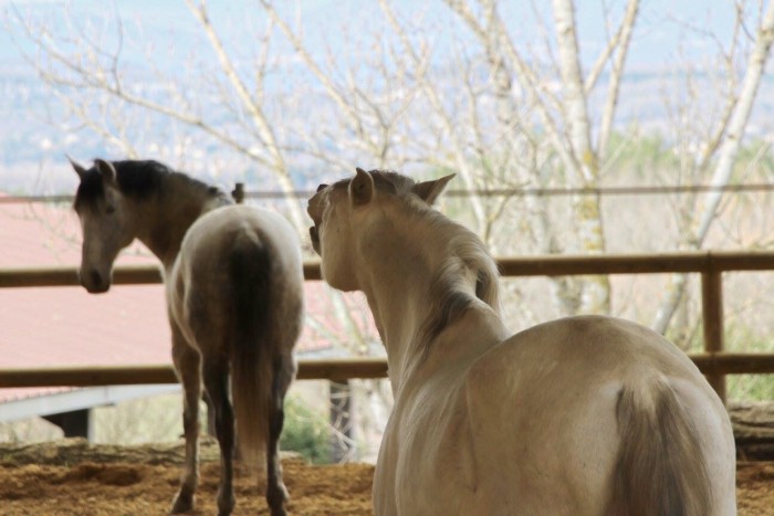 Photo de profil de rouret