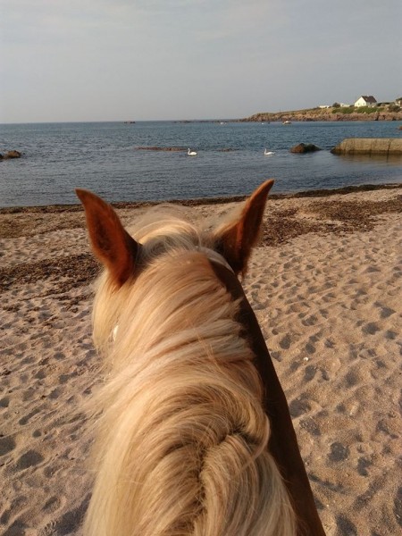 Photo de profil de sabbertrand