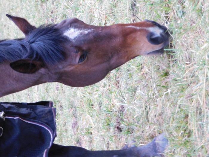 Photo de profil de sacred_heart