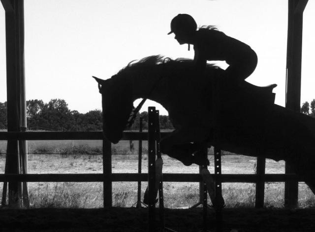 Photo de profil de salomrob