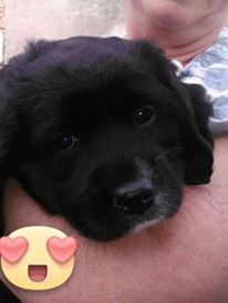 Photo de profil de samo