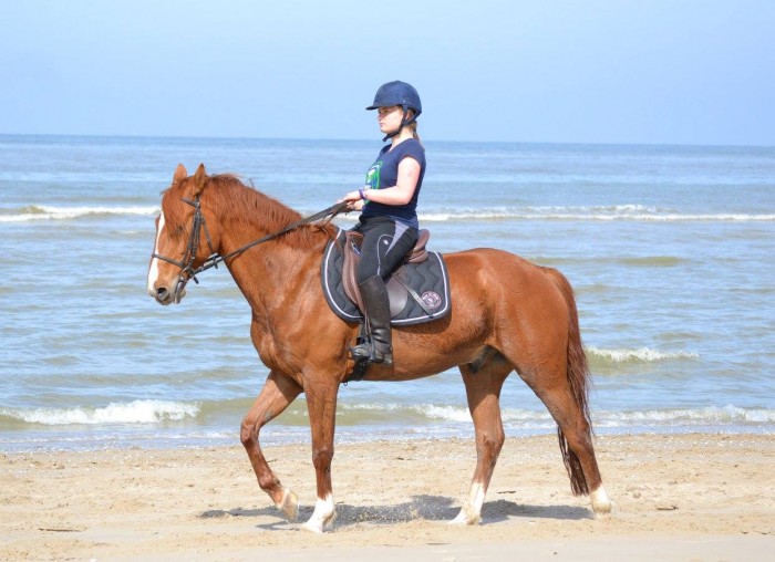 Photo de profil de samsamdu08