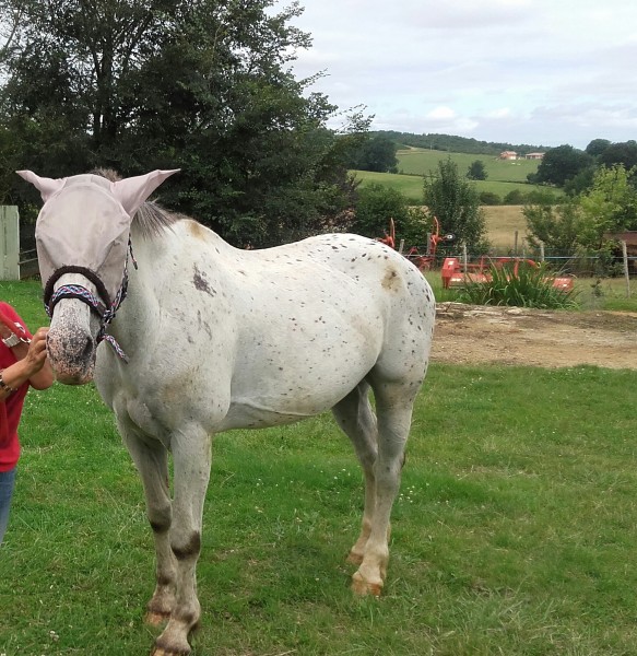 Photo de profil de samsonpower