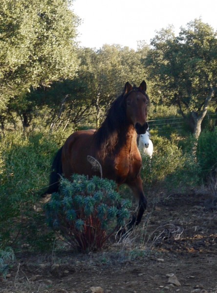 Photo de profil de sanchezf