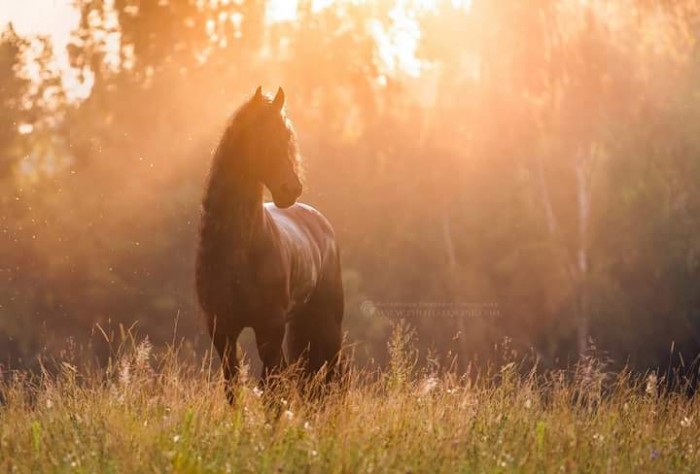 Photo de profil de sandra02