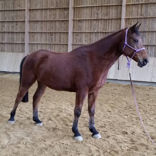 Photo de profil de sandram47