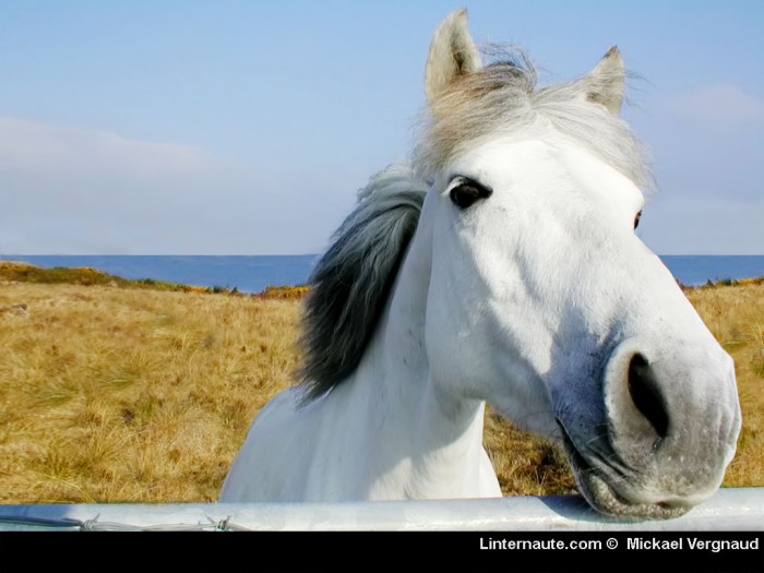 Photo de profil de sandrine1985