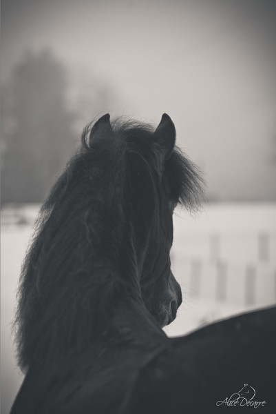 Photo de profil de saracrys