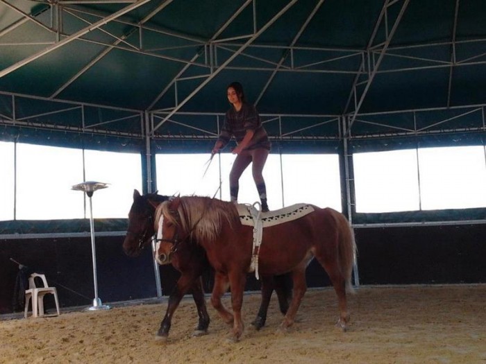 Photo de profil de sarah30100