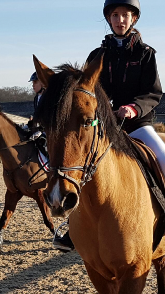 Photo de profil de sarahdu60
