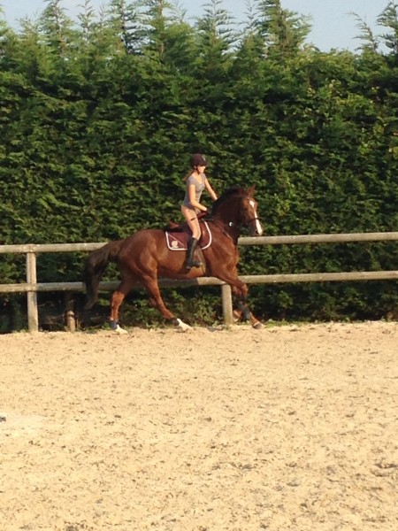 Photo de profil de sarahveryroz