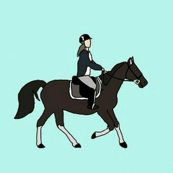 Photo de profil de sassouhorse
