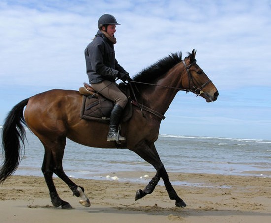 Photo de profil de sebastian