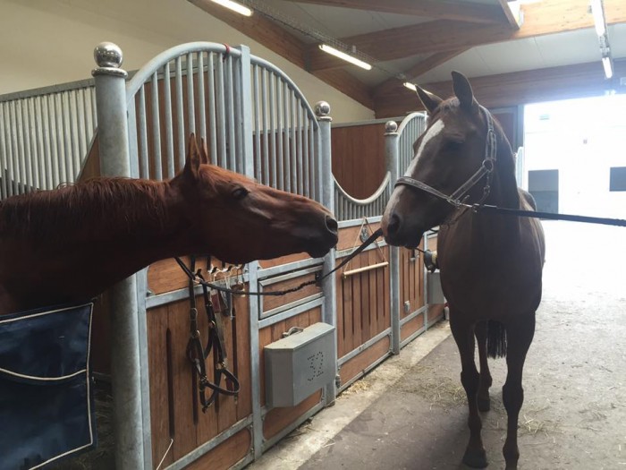 Photo de profil de sebeka