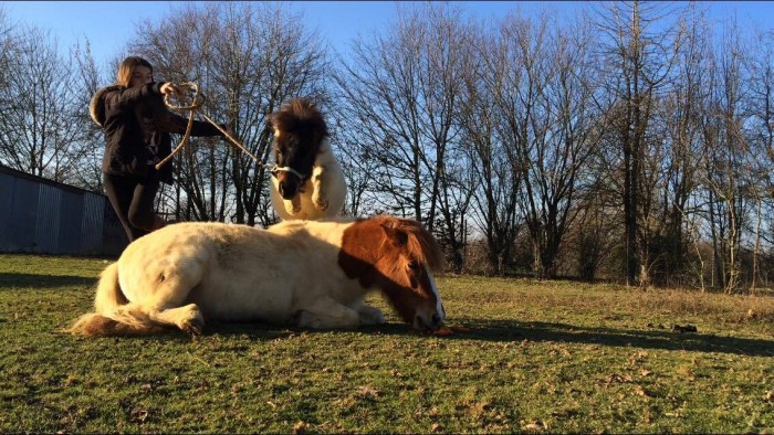 Photo de profil de selena.dlr