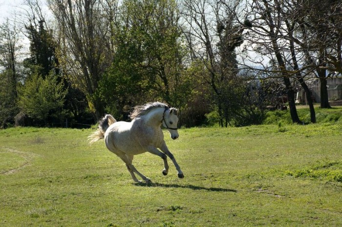 Photo de profil de sergei