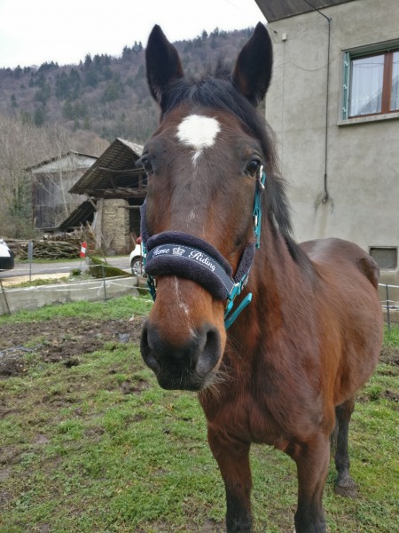 Photo de profil de shalimare