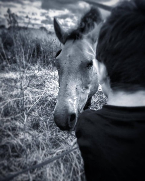 Photo de profil de shocky9733