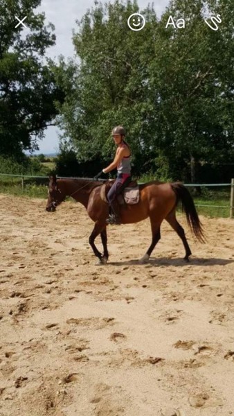 Photo de profil de solene81