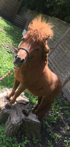 Photo de profil de solene.chorze