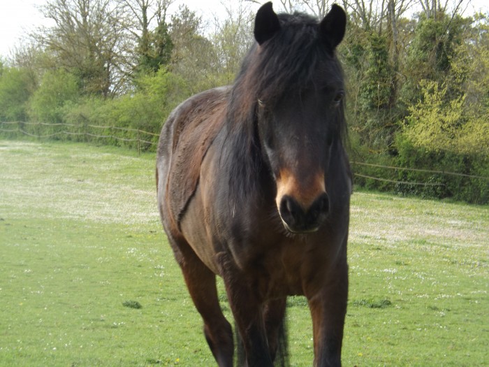 Photo de profil de solene.vlt