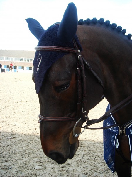 Photo de profil de sophieb16