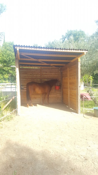 Photo de profil de speddy66