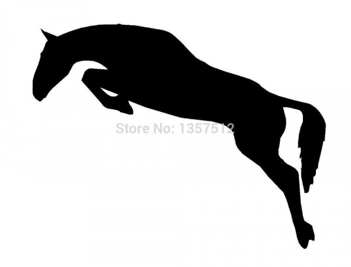 Photo de profil de srch1602