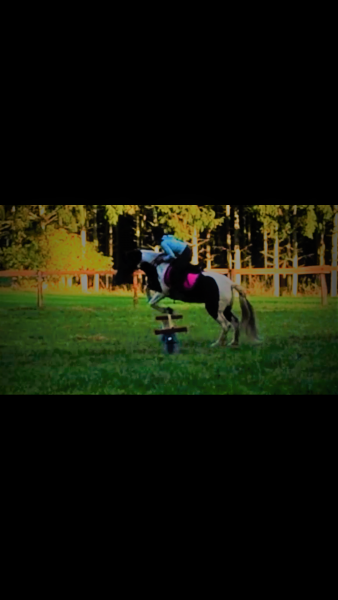 Photo de profil de starla8