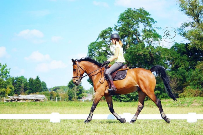 Photo de profil de suzannedcq