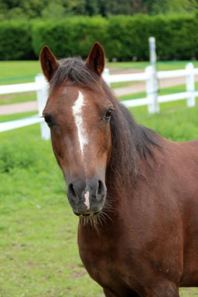 Photo de profil de sylvana974