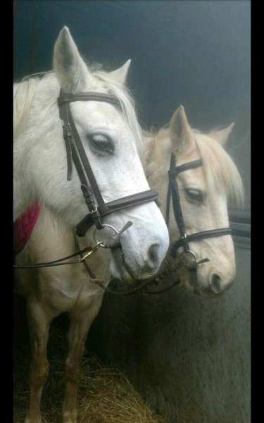 Photo de profil de tania56